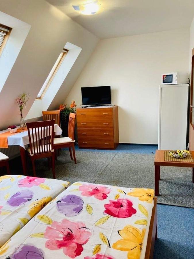 Apartmany, Penzion, Wellness U Zlate Rybky 비슈코브 외부 사진