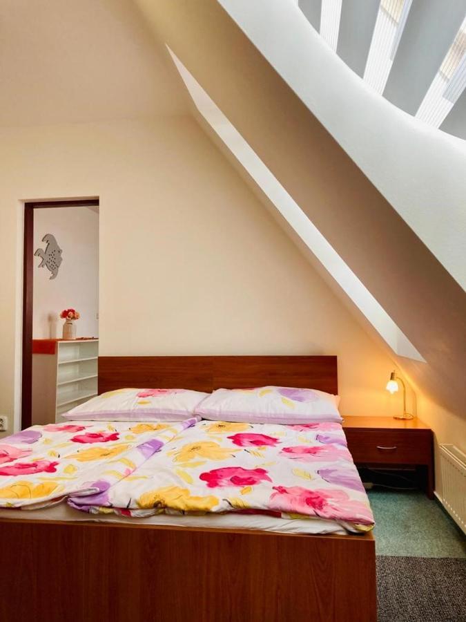Apartmany, Penzion, Wellness U Zlate Rybky 비슈코브 외부 사진