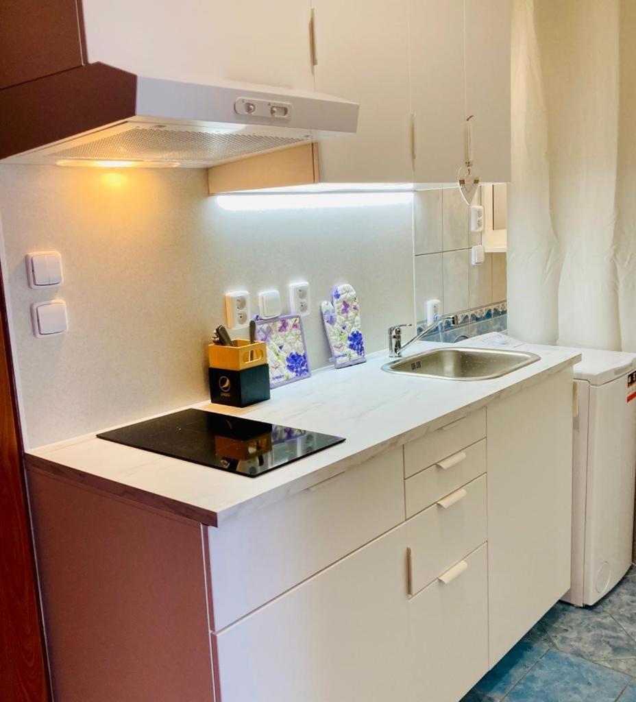 Apartmany, Penzion, Wellness U Zlate Rybky 비슈코브 외부 사진