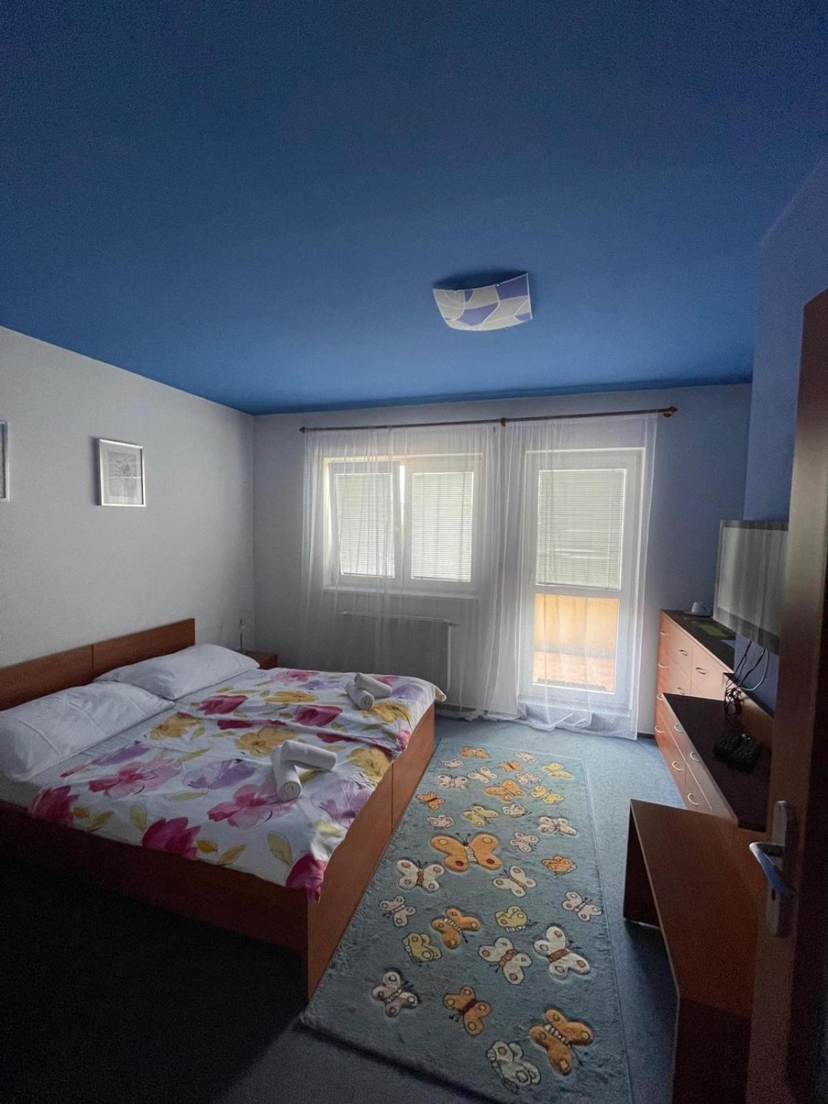 Apartmany, Penzion, Wellness U Zlate Rybky 비슈코브 외부 사진