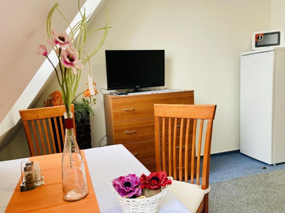 Apartmany, Penzion, Wellness U Zlate Rybky 비슈코브 외부 사진