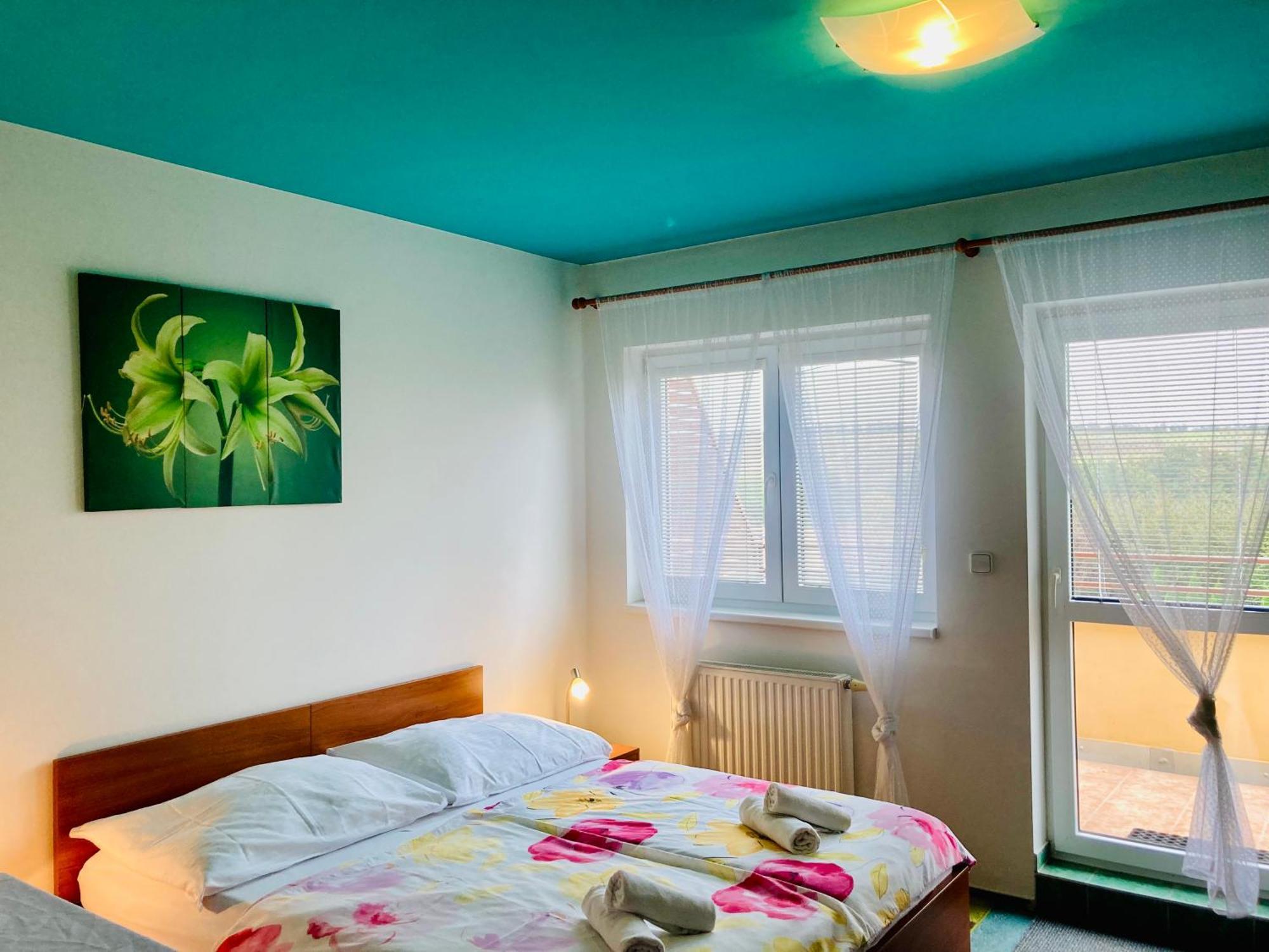Apartmany, Penzion, Wellness U Zlate Rybky 비슈코브 외부 사진