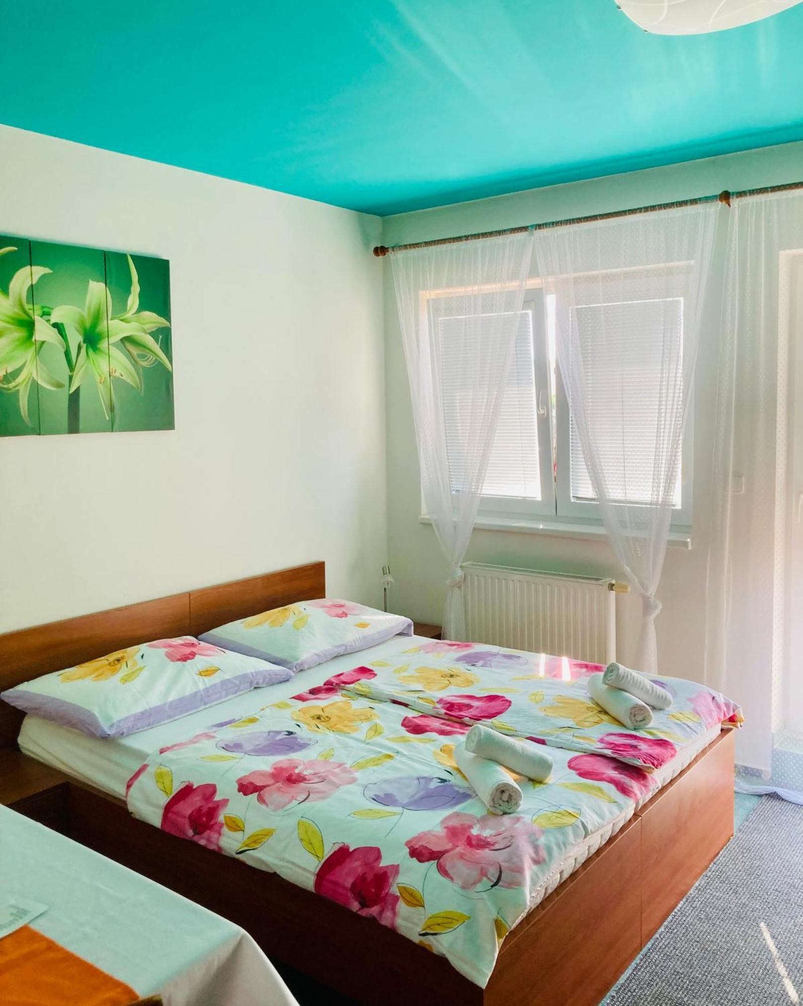 Apartmany, Penzion, Wellness U Zlate Rybky 비슈코브 외부 사진