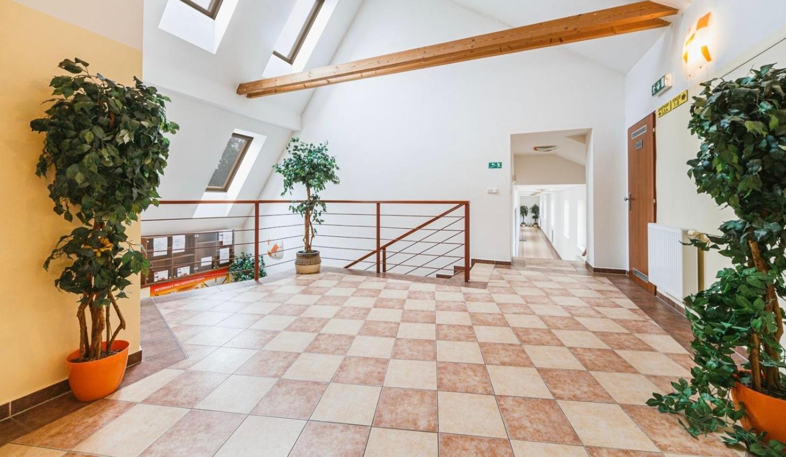 Apartmany, Penzion, Wellness U Zlate Rybky 비슈코브 외부 사진